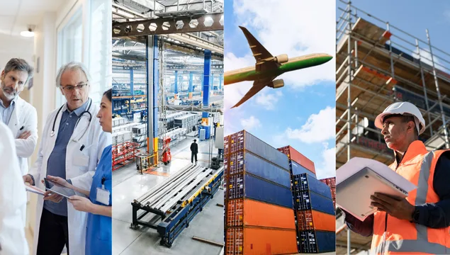 100+ ERP Projects Delivered Across Diverse Industries